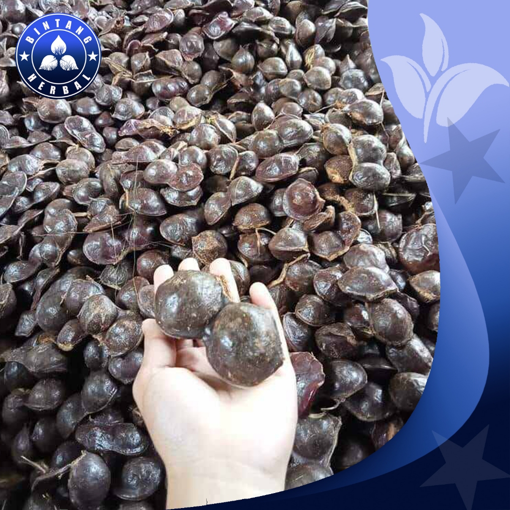 

jual jengkol tua belum kupas full sortir \ 1 kg - bintang herbal