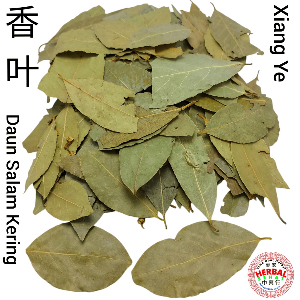 

Xiang Ye - Daun Salam Kering - Bay Leaf Leaves 香叶 - Xiangye - Daun Wangi