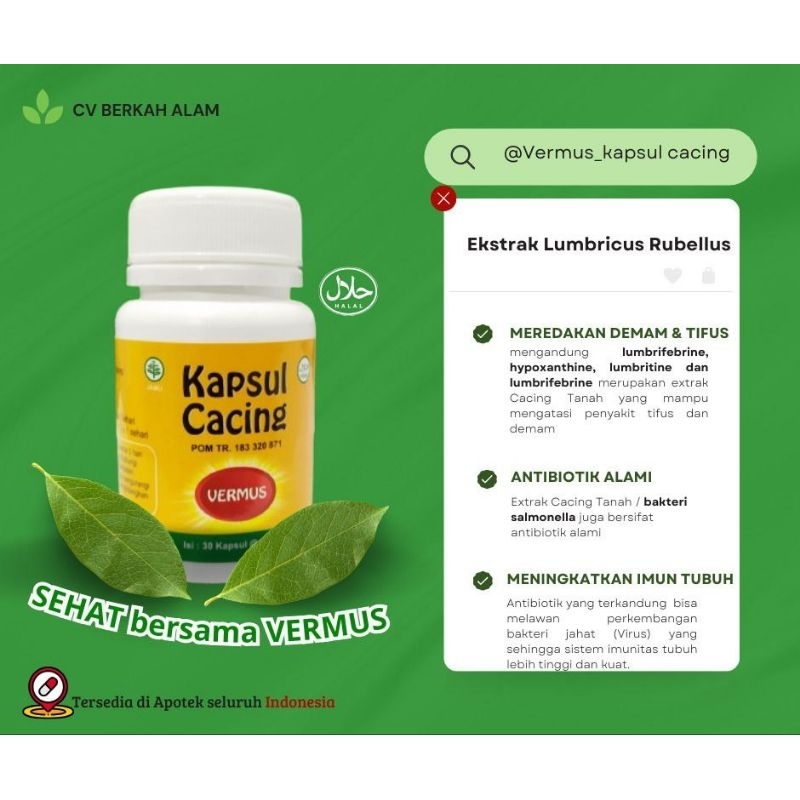 Kapsul Cacing VERMUS 100% Alami Membantu Meredakan Demam Dan Gejala Tipes