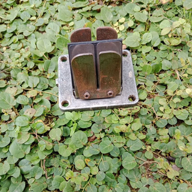 MEMBRAN RXKING ORIGINAL COPOTAN TEROMPET RXKING ORIGINAL LIDAH MEMBRAN RXKING ORIGINAL