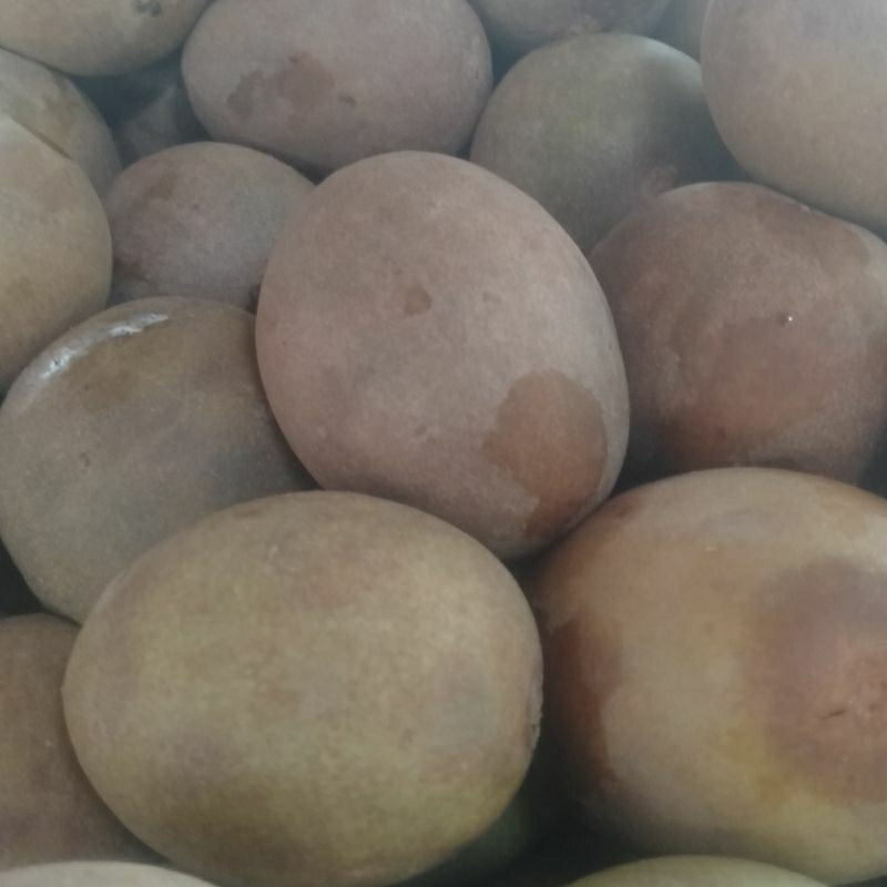 

SAWO MADU 1KG MANIS FRESH