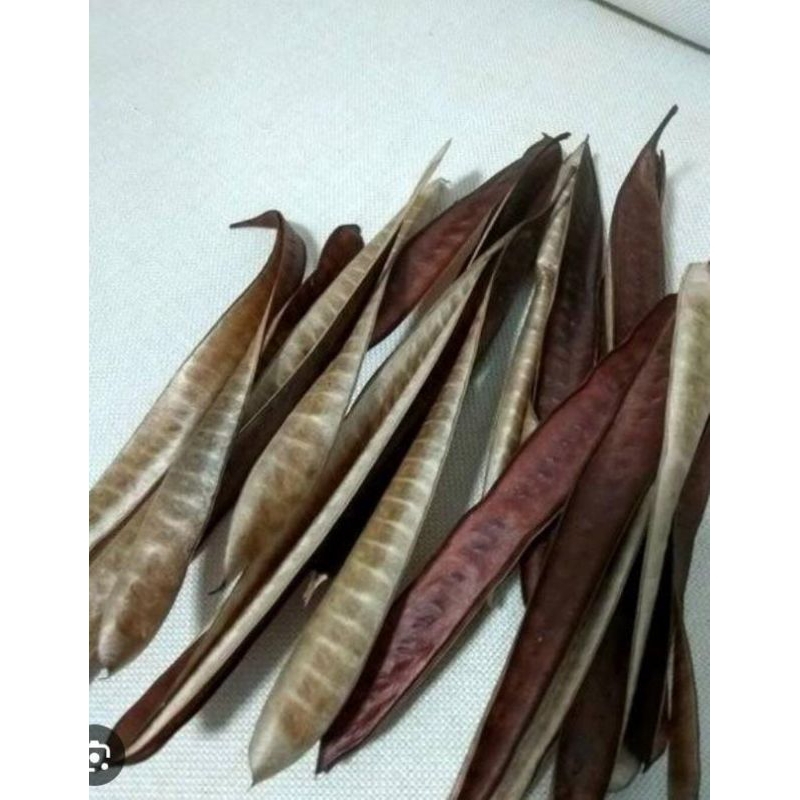 

Daun Petai Cina Kering Organik 250 Gram Obat Herbal Tradisional Murah