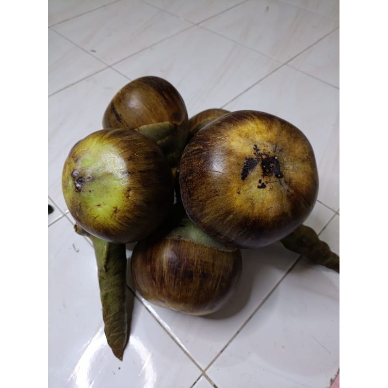 

buah Lontar super fresh
