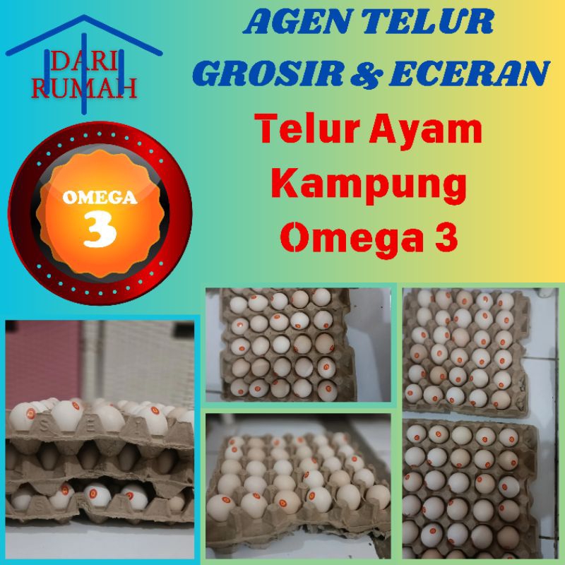 

TELUR AYAM KAMPUNG OMEGA 3 PILIHAN TERMURAH TERBAIK