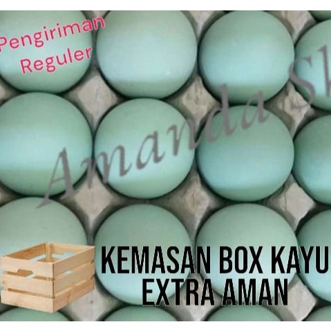 

Telur bebek mentah Langsung dari kandang gratis packing BOX aman