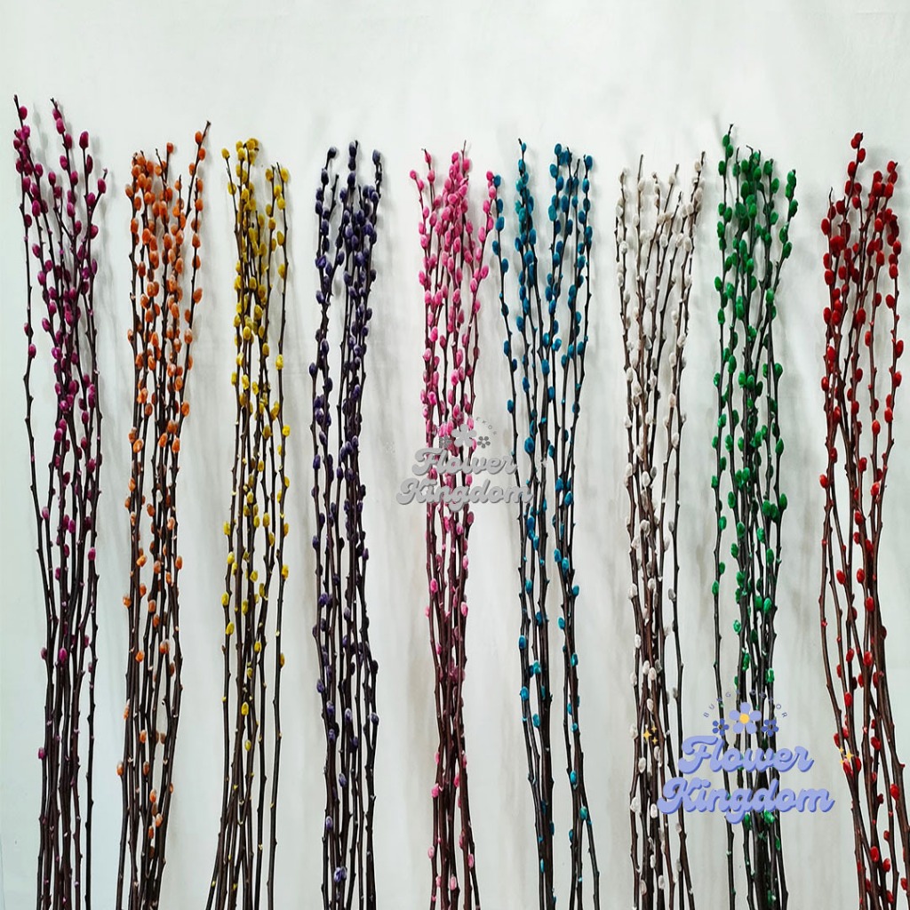 (9pcs) 120cm Dried Pussy Willow LARGE 2023 Bunga Imlek Dekorasi Chinese New Year Decoration CNY Bung