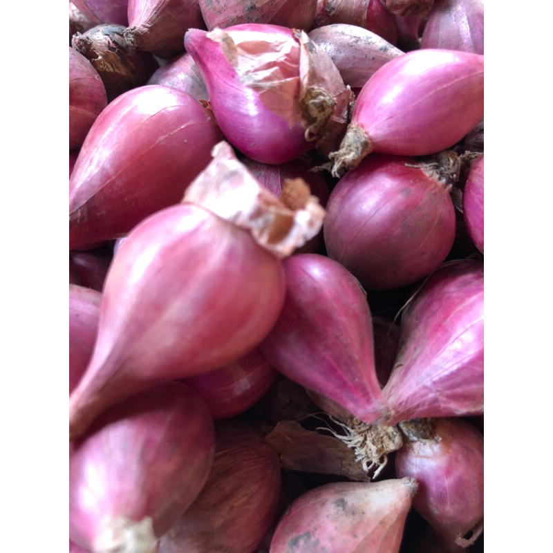 

BAWANG MERAH BEREBES (JAWA TENGAH)