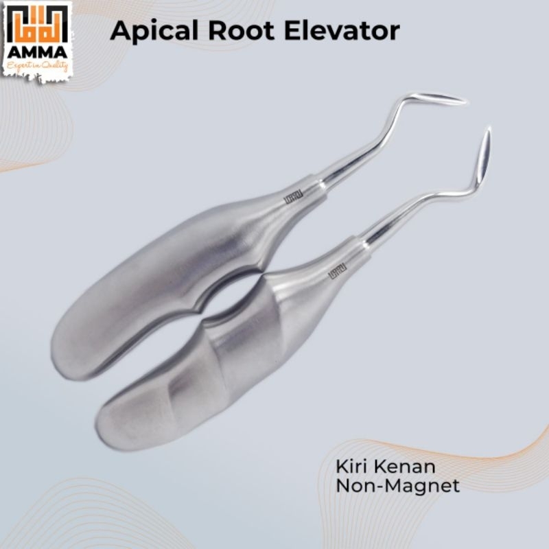DENTAL APICAL ROOT ELEVATOR LEFT RIGHT GAGANG FINGER