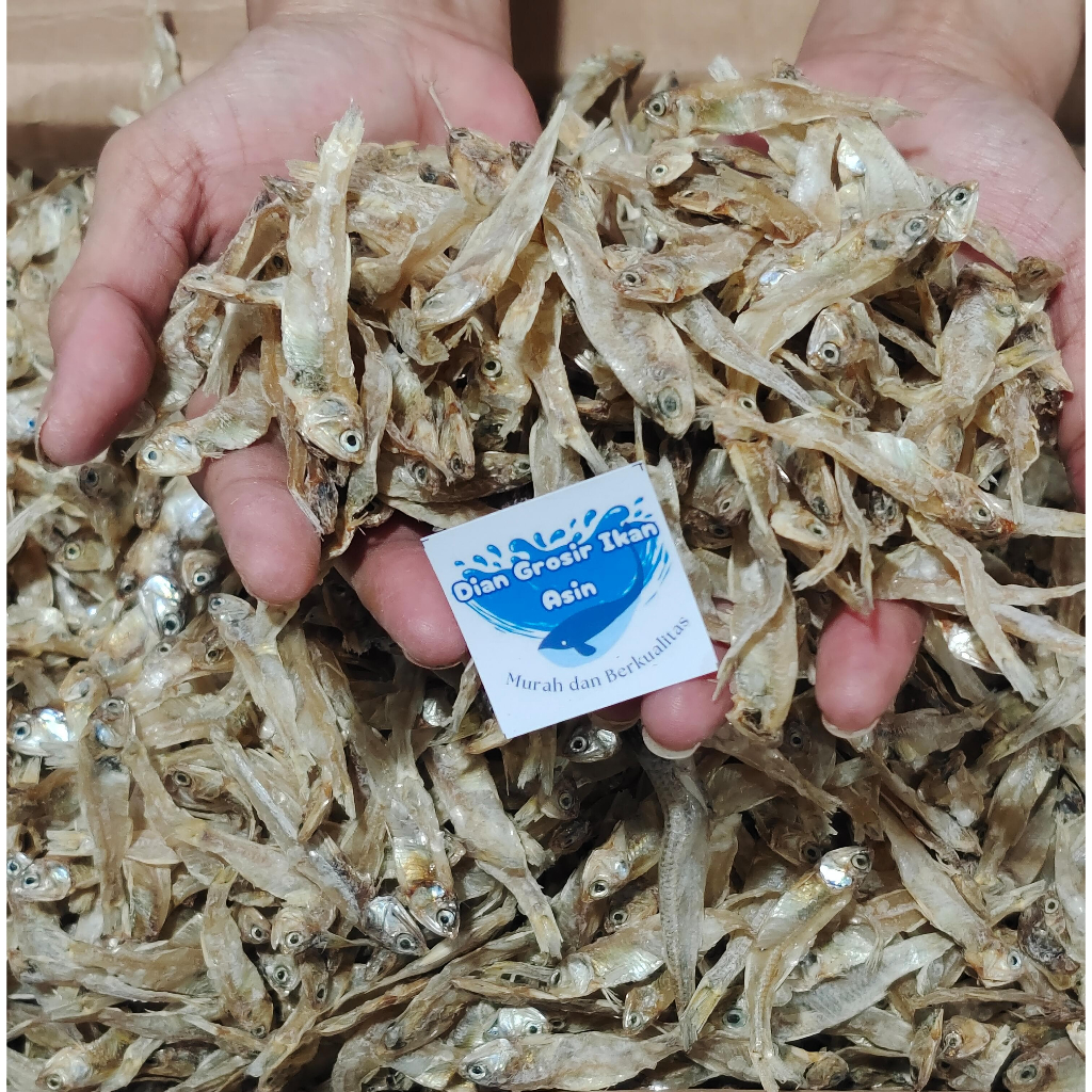 

Grosir Ikan Asin Dian-Teri Bunga Tawar Super 250gr