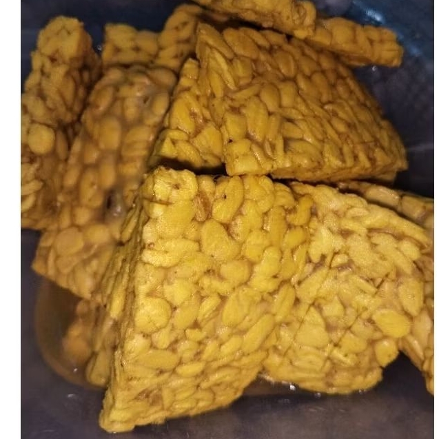 

Tempe Ungkep frozen