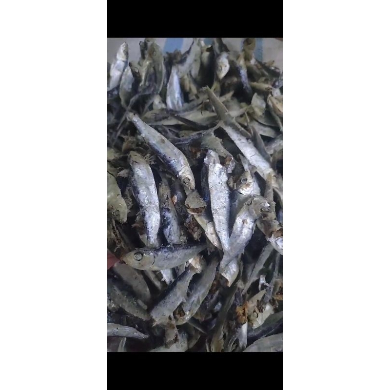 

Ikan Ninis (1 kg)