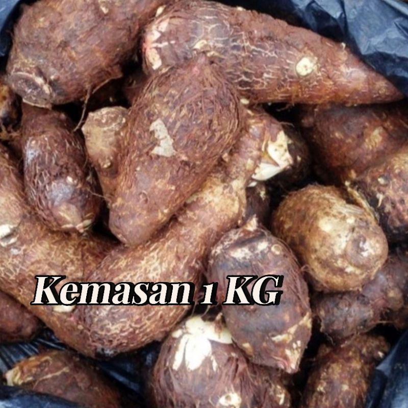 

Ubi Talas Kimpul putih Mentah Pulen Meduk Gurih Promo Termurah ( BISA COD )