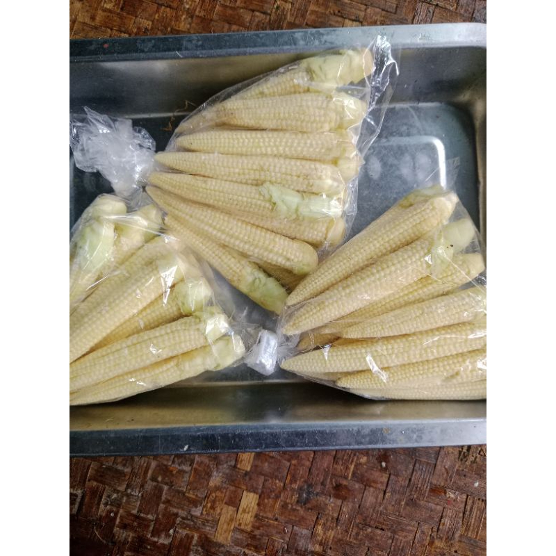 

jagung semi kecil putren mang sayur.