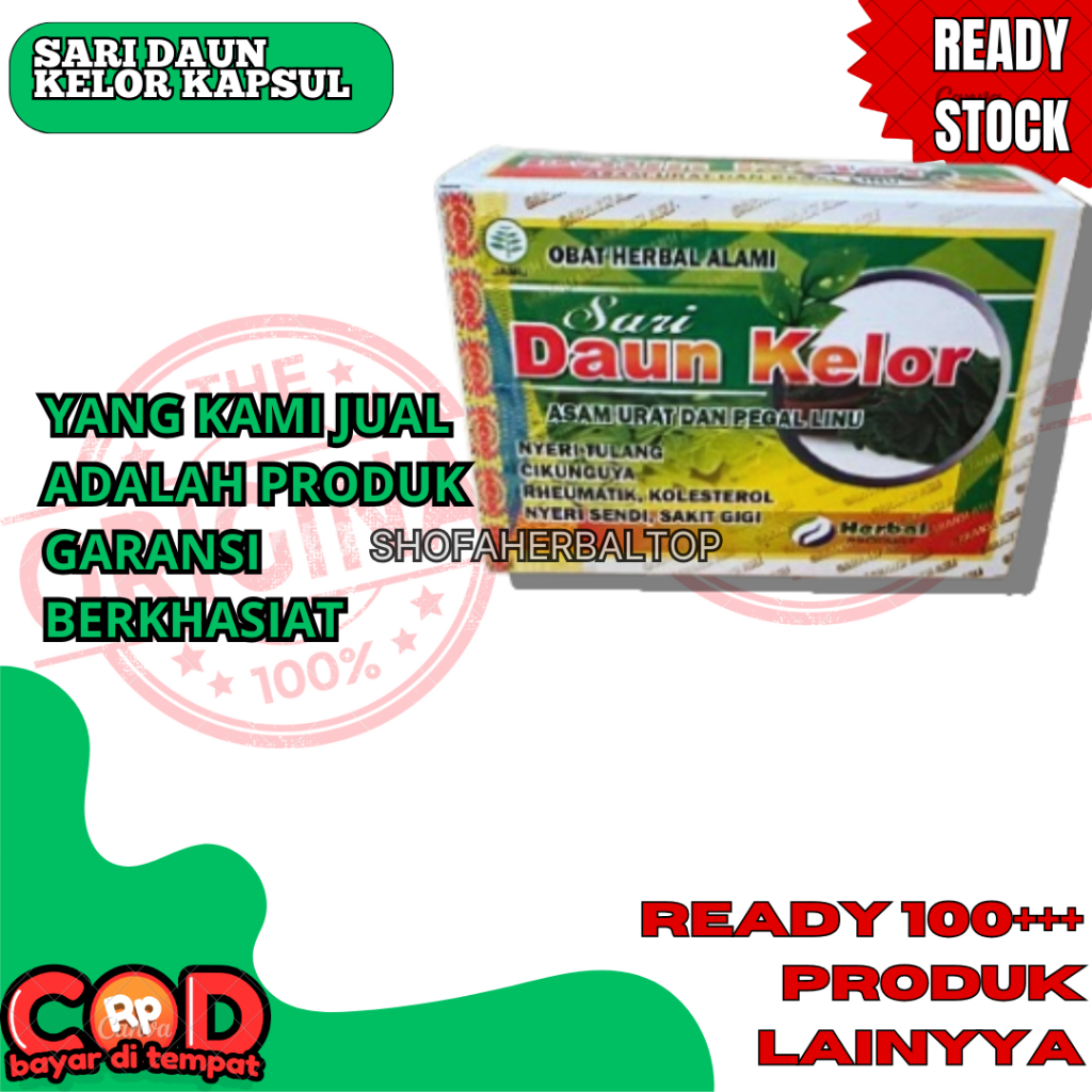 KAPSUL DAUN KELOR HERBAL ASLI
