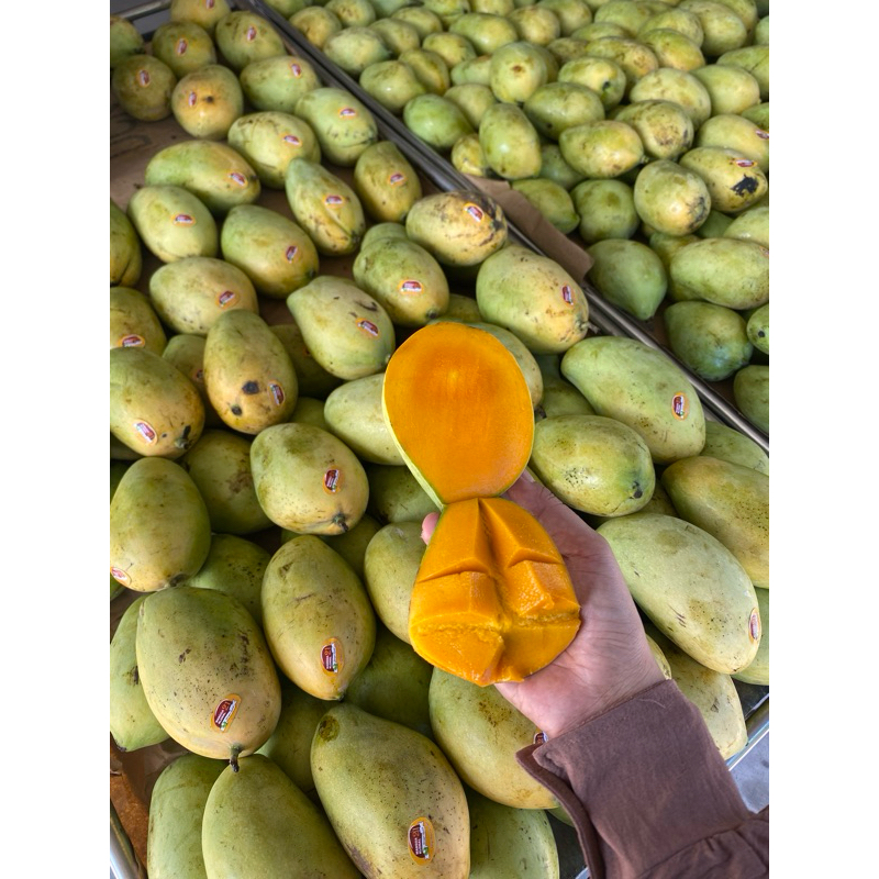 

Mangga madu Jawa