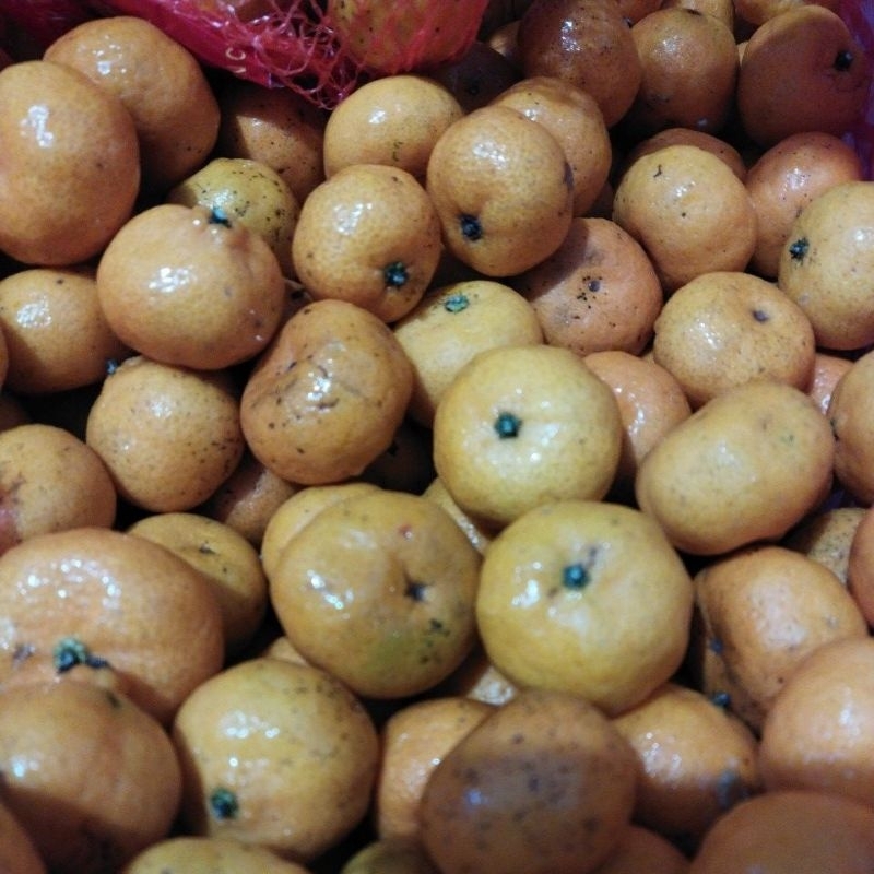 

jeruk santang segar 500gram