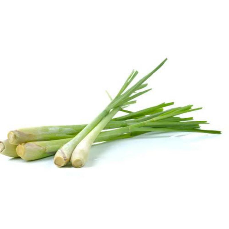 

Serai Sereh wangi fresh 1kg 500 grm