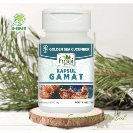 

GAMAT KAPSUL Ekstrak Teripang Emas Untuk Nyeri Sendi, Herbal Persendian Herba HNI HPAI
