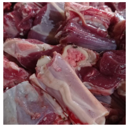 

Paha Kambing Campur Tulang Iga Fresh 500 gram