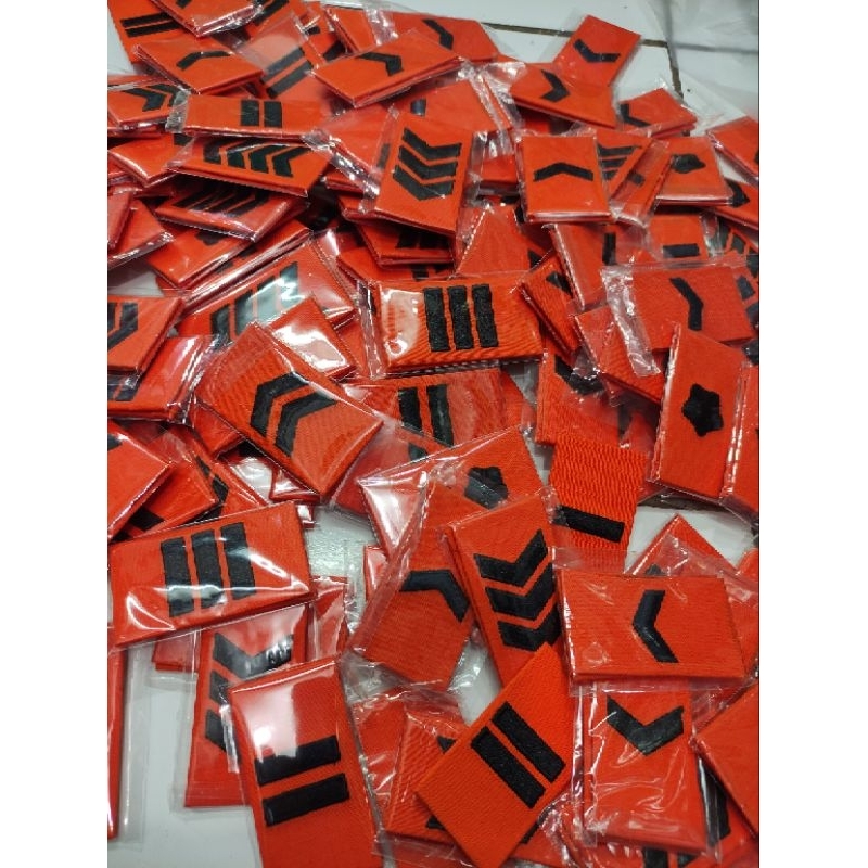 PANGKAT PDL BASARNAS