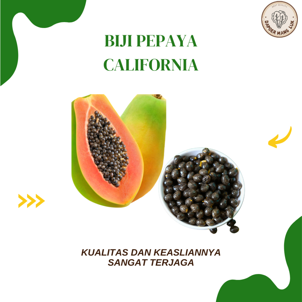 

EKSTRAK BIJI PEPAYA CALIFORNIA BEST SELLER
