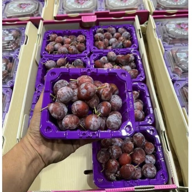 

Buah Sugar Plum Pack Jual Per 1 Dus Karton