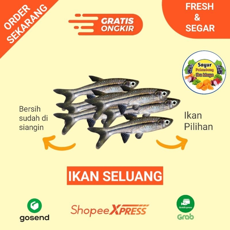 

Ikan seluang - Sayur Palembang ibu maya