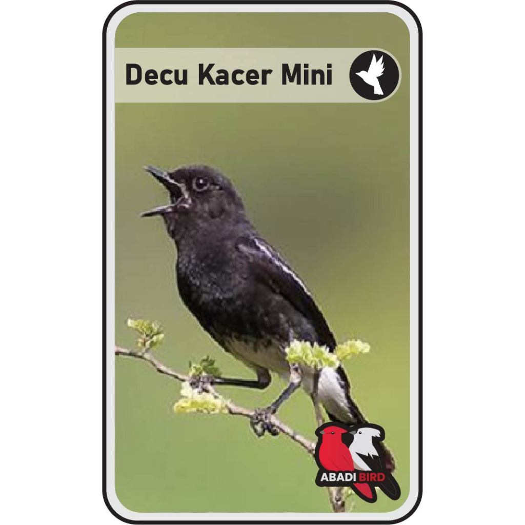 Decu Kacer Mini Palmerah