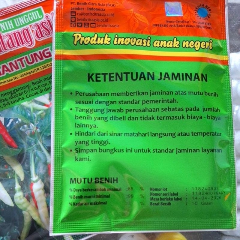 ID BENIH CABE RAWIT PUTIH SIGANTUNG 10 GRAM. BENIH UNGGUL BINTANG ASIA. CABAI RAWIT SETAN