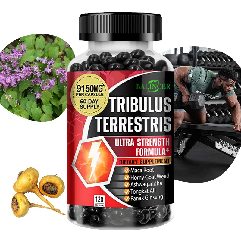 Suplemen Tribulus Herbal Alami untuk Meningkatkan Stamina dan Kebugaran
