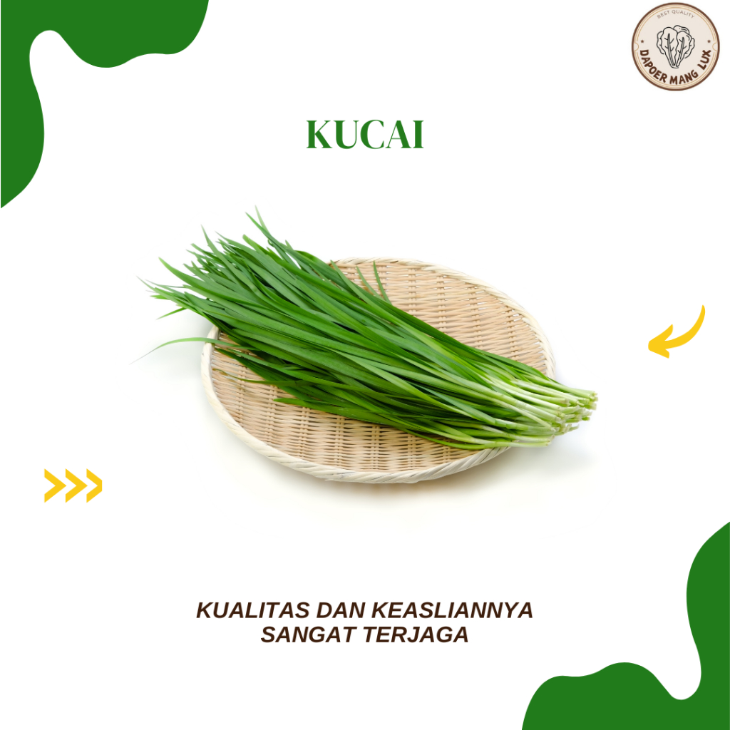 

DRIED SERBUK DAUN KUCAI BEST SELLER