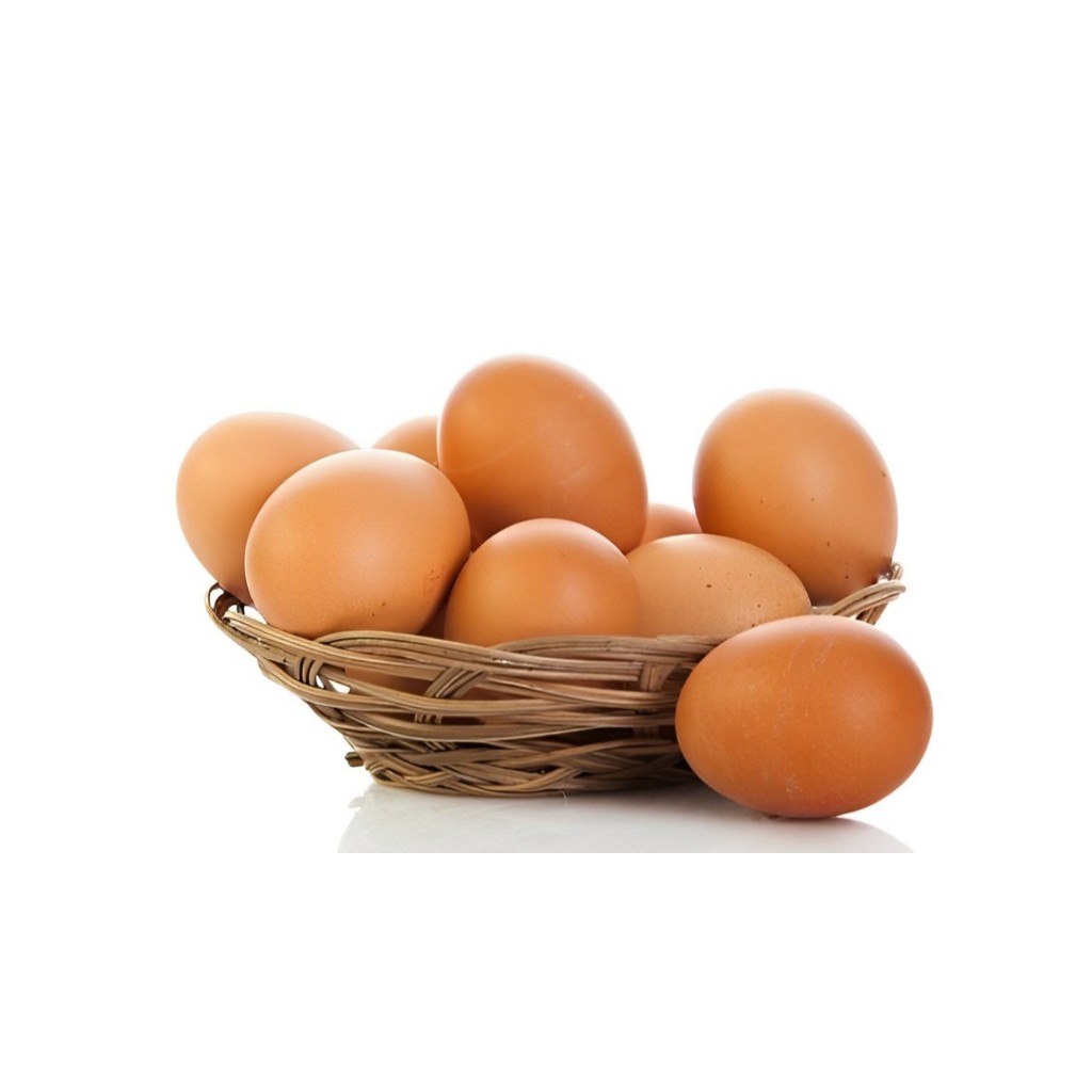 

Telur Ayam Negeri Pack Isi 10 Pcs