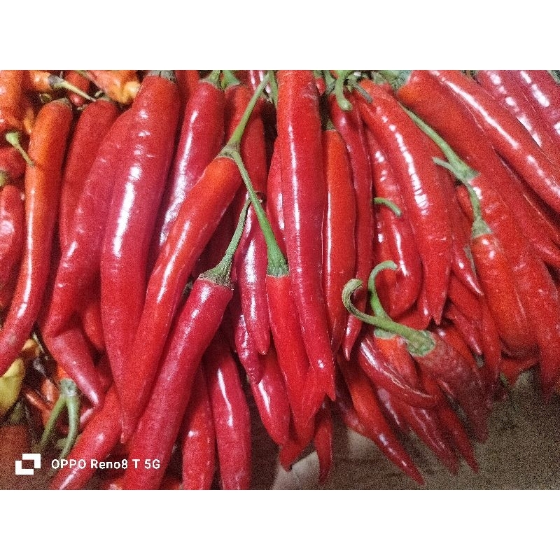 

cabe merah besar tw,1kg