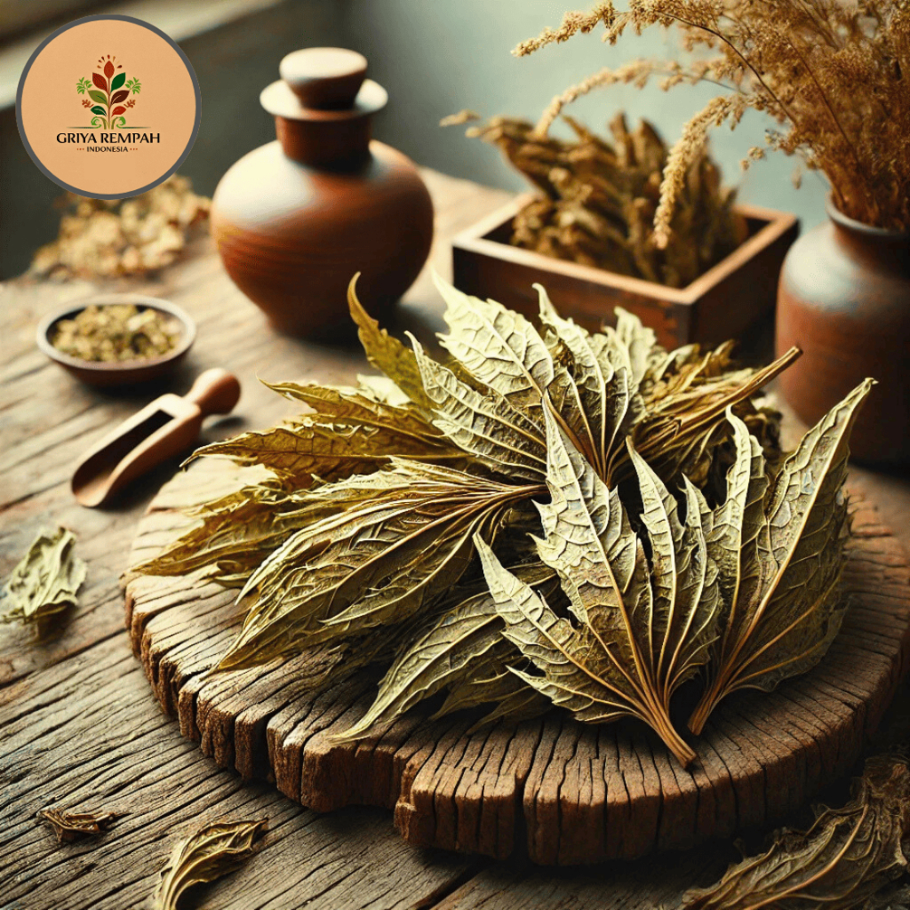 

DAUN DARUJU KERING 100 GRAM – Jeruju Drujon Ramuan Rempah Herbal Alami untuk Kesehatan dan Pengobatan Jamu Tradisional Simplisia Deruju Jaruju Acanthus ilicifolius