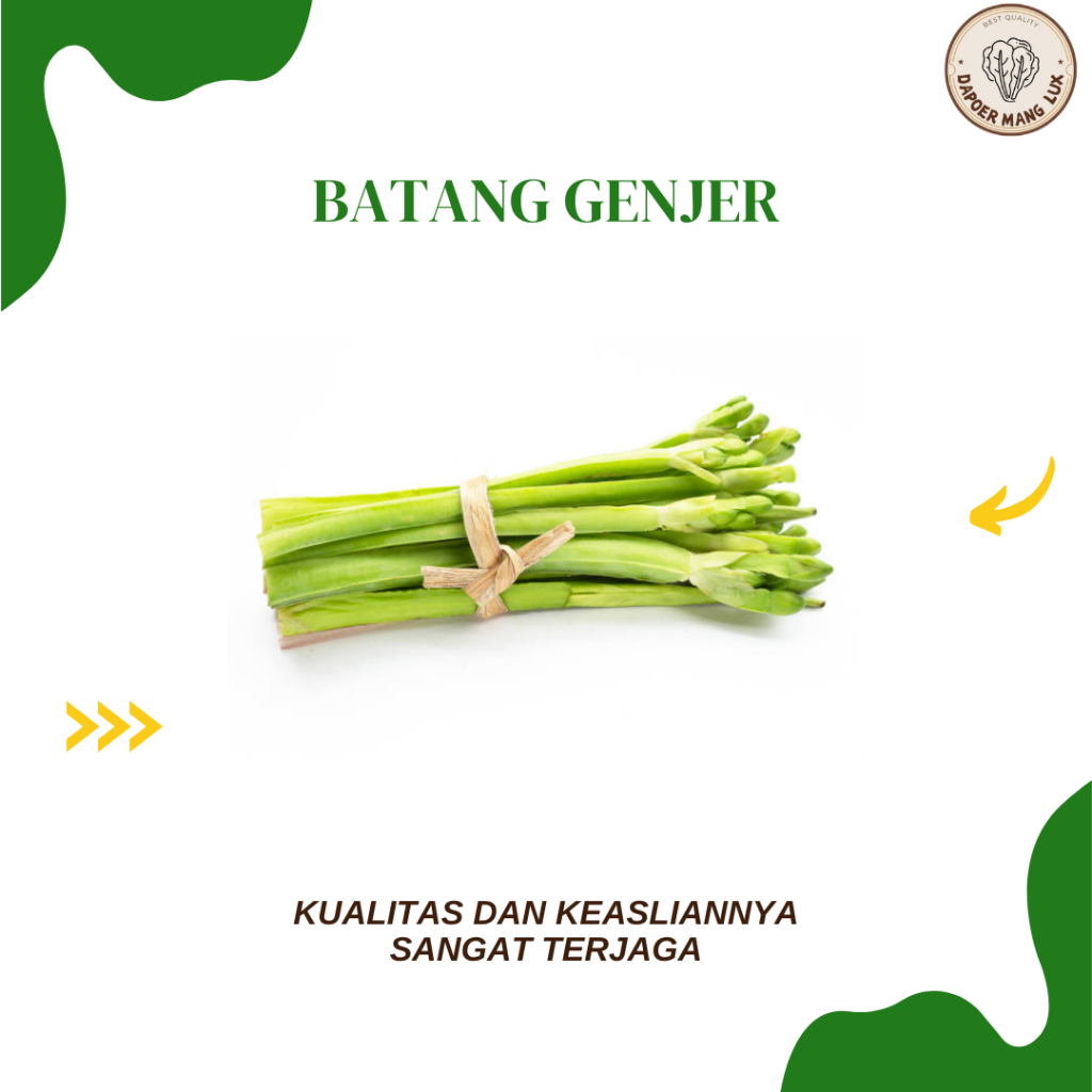 

EKSTRAK BATANG GENJER BEST SELLER