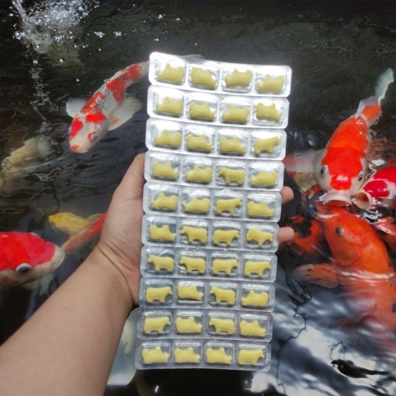 

Permen Susu Sapi isi 40pcs (Halal)