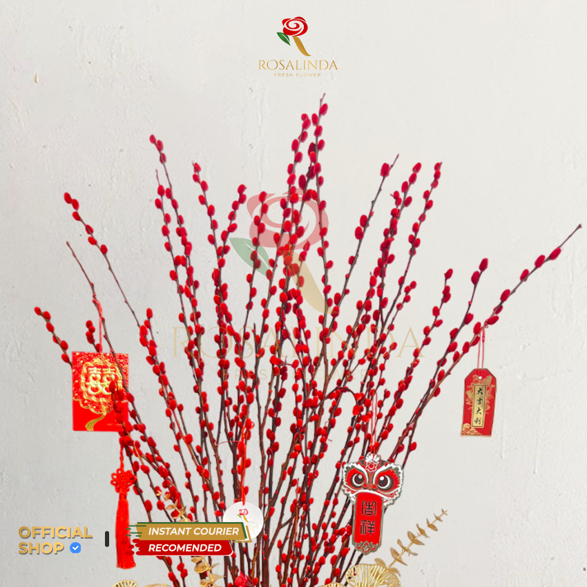 Pussy Willow Merah / Bunga Imlek / Hiasan Imlek / Dekorasi Perayaan