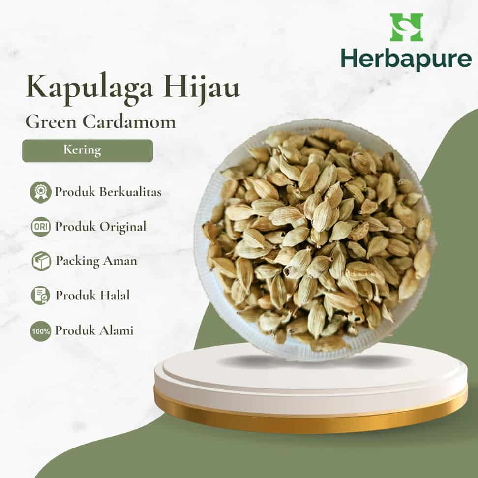 

Herbapure- Kapulaga Hijau Rempah Premium, Wangi Masakan, Herbal Lambung & Nafas Segar