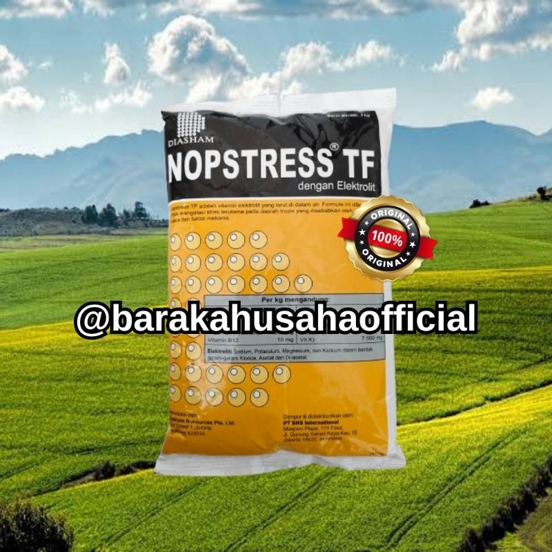 NOPSTRESS Tropical Formula 1 Kg