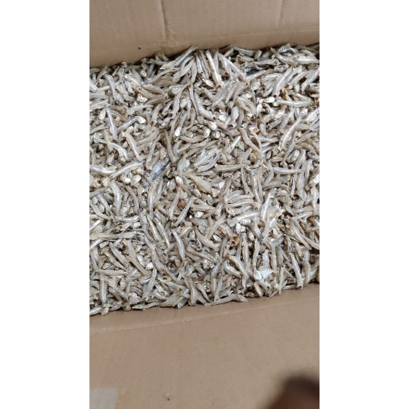 

teri buntio super vip 60.000 >500gram