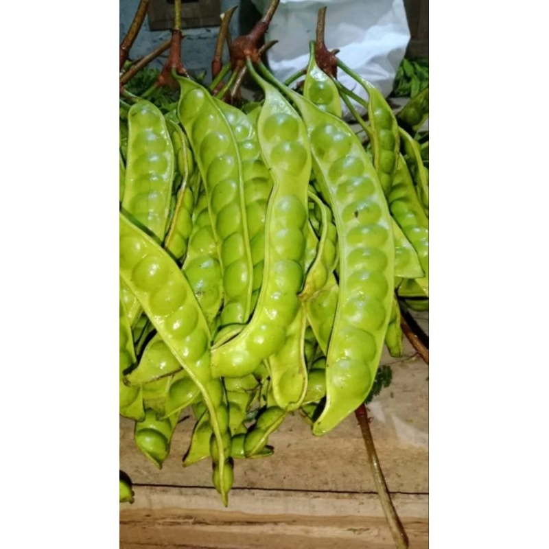 

Pete Super isi 5 papan