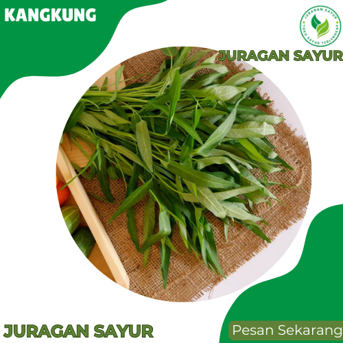 

Juragan Sayur - Kangkung Akar 250gr