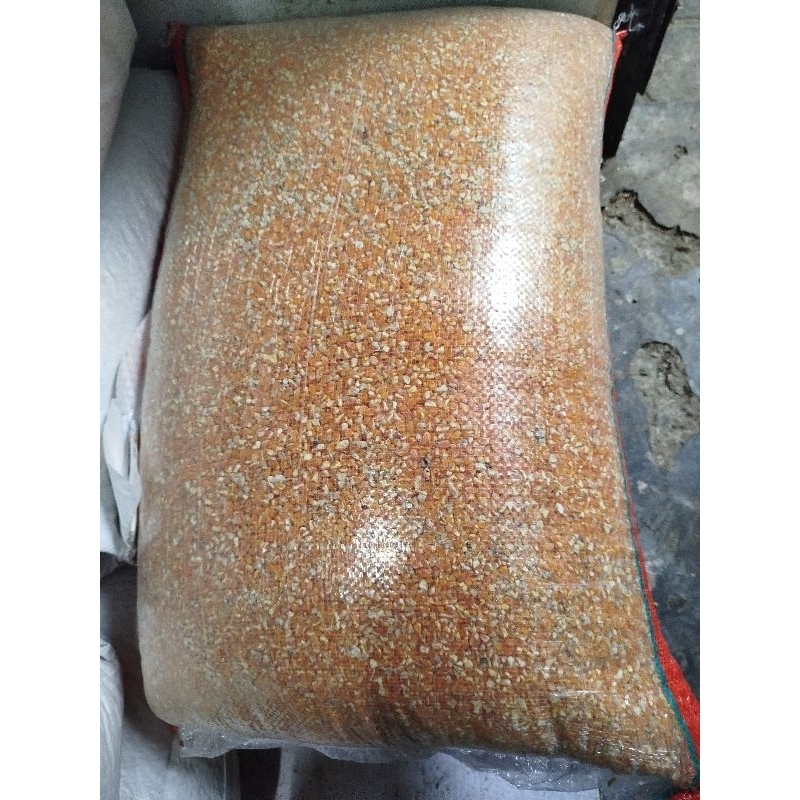 JAGUNG MENIR 1BAL 25KG PAKAN AYAM HARIAN