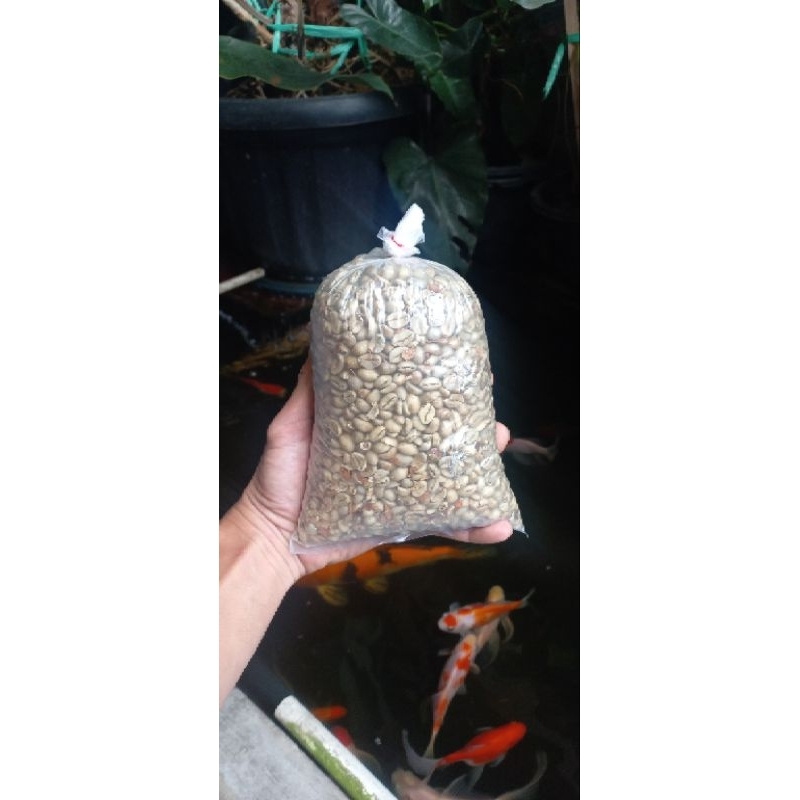 

BIJI KOPI ARABIKA JENIS ( 13 4 P 4 K)
