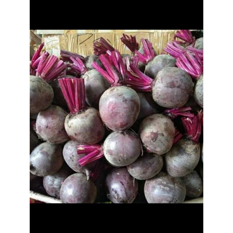 

1KG BUAH BIT FRESH