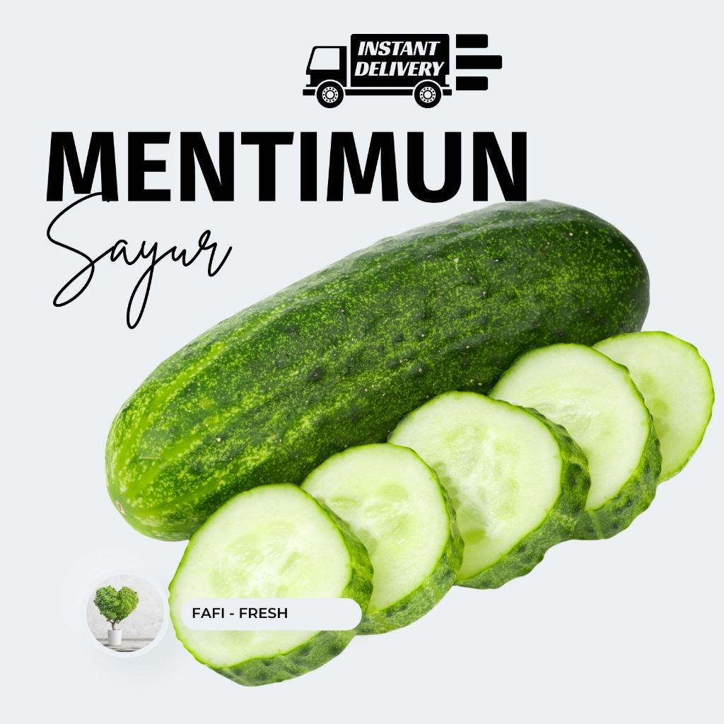 

Mentimun - BONTENG - FRESH DARI KEBUN FAFI FRESH.