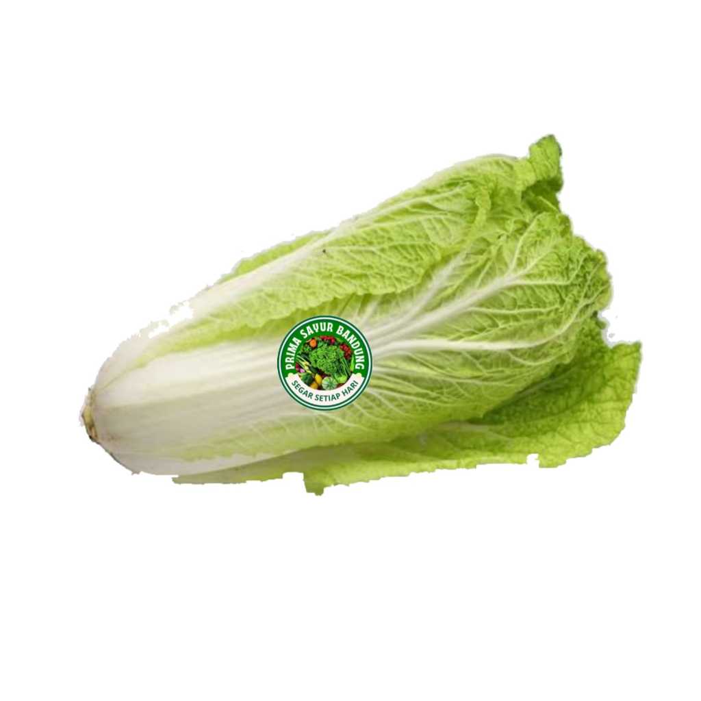 

PRIMA - Sayur Sawi Putih Segar Chinese Cabbage 500gr Sayur Fresh Bandung