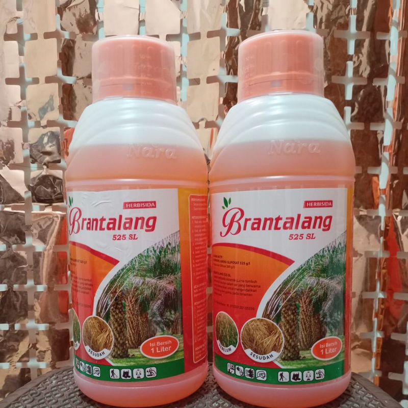 Herbisida paling Ampuh BRANTALANG 525 SL 1L