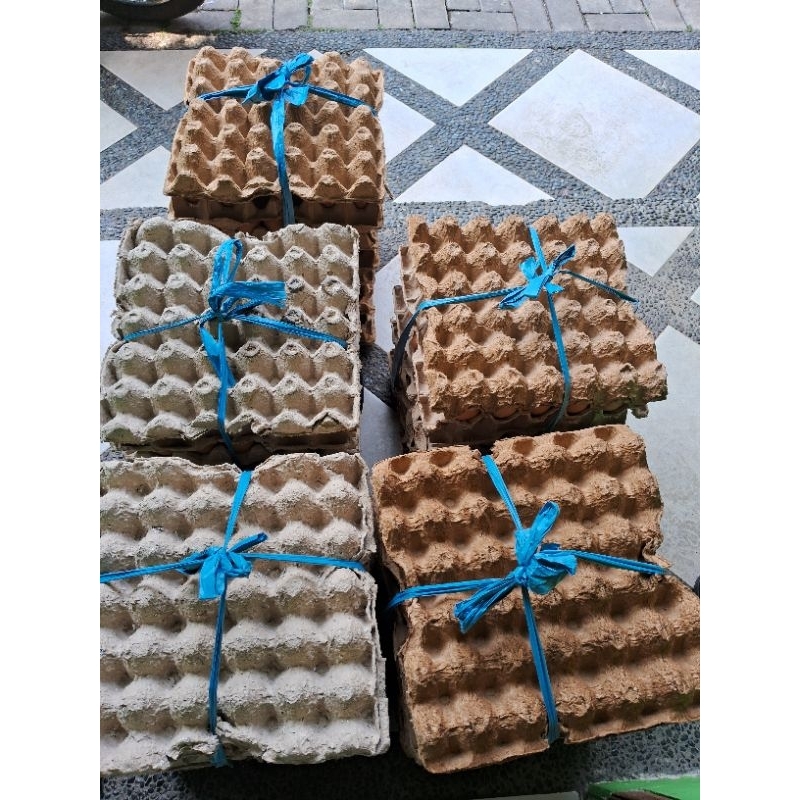 

Telur Ayam Omega 1kg