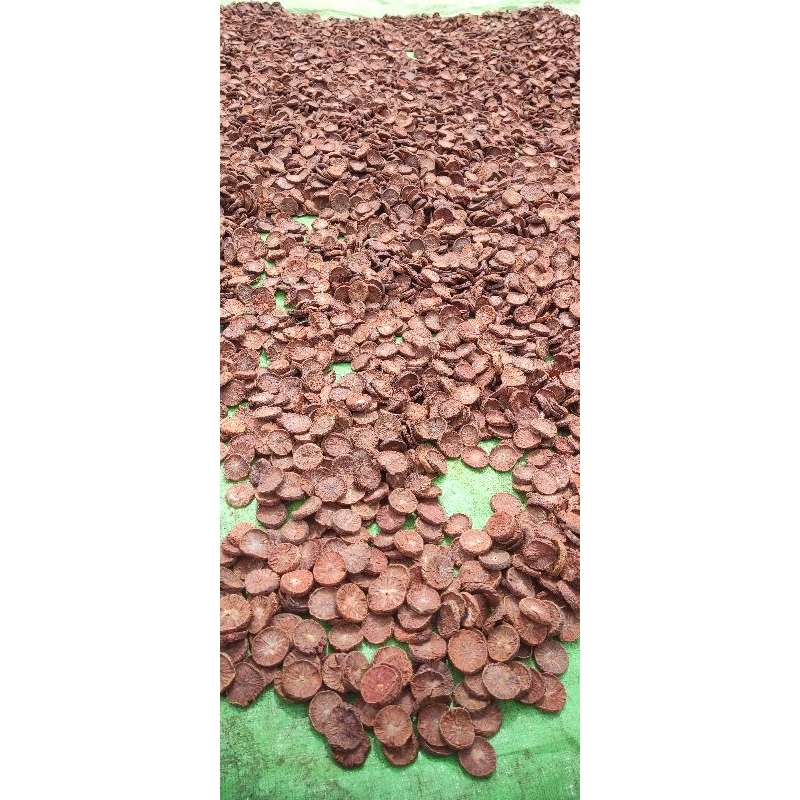 

Pinang muda iris kering (koin)